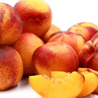 نهال شلیل مغان و غیره پیوندی و اصلاح شده