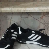 کتونی|کیف، کفش، کمربند|شیروان (خراسان), |دیوار