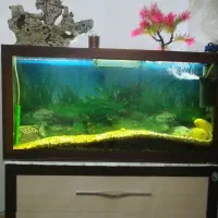 آکواریوم با پایه