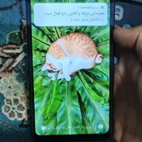 گوشی شیامی ردمی9c