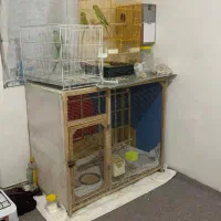 قفس چوبی بزرک ده جفت کفترجامیشه نونو