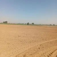 اجاره-300هکتار-زمین-کشاورزی
