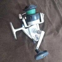 لنسر ماهیگیری