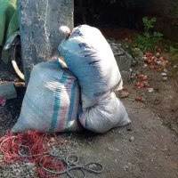 کود خشک گوسفندی