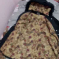 پالتو زنانه|لباس|مشهد, شفا|دیوار