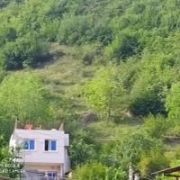 ویلا‌گل‌بنفشه‌‌روی‌بلندی.وصل‌جنگل