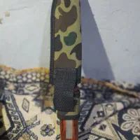 کبوتر معاوضه|کلکسیون و سرگرمی|گنبد کاووس, |دیوار