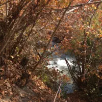 باغ|فروش زمین و ملک کلنگی|طالقان, |دیوار