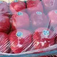 سیب درختی خراسان|خوردنی و آشامیدنی|تهران, گرگان|دیوار