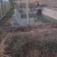 زمین کشاورزی باغی۱کیلومتری ترمینال باآب قابل معاوض|فروش زمین و ملک کلنگی|گرگان, |دیوار