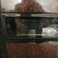 بخاری گازی|بخاری، هیتر، شومینه|بروجرد, |دیوار