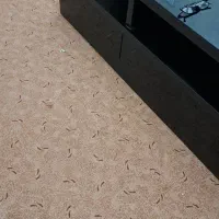 زیر تلوزیون و 60 متر پلاز موکت دو لایه کار کرده