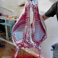 چراگاه شرق غرب