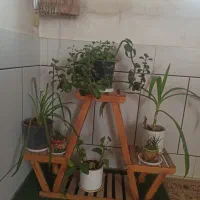 اسند چوبی گل با چمن مصنوعی