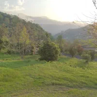 زمین ۵۰۰۰۰متر کوهپایه‌ای رامسر