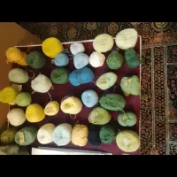 نقشه تابلو فرش همراه با نخ|تابلو فرش|تهران, حسین‌آباد|دیوار