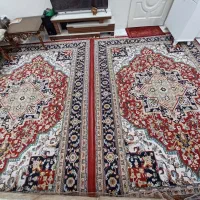 فرش ماشینی|فرش|تهران, تسلیحات|دیوار