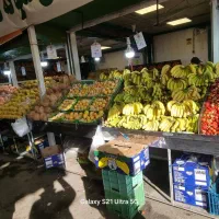 کارگر  حرفه ای جهت بازار میوه وتره بار