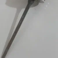 زبانه تی ان جیت