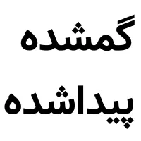 یک کیف مدارک مشکی حاوی مدارک گمشده