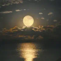 درآمد از بلو بانک