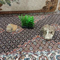 لوازم تزیینی آکواریوم