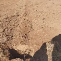 ۱۳۵۰مترزمین بیلوردی.دونبش۱۰۰متری جاده اهرتبریز