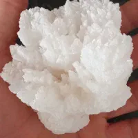 سنگ خیلی خوشگل برگ دار