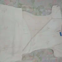 کیف و لباس|کیف، کفش، کمربند|اراک, |دیوار