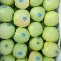 میوه سوپر لوکس میدان دادگستری