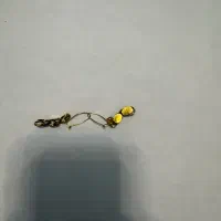 گوشواره و النگو