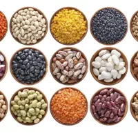 حبوبات فروشی در دهگلان