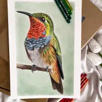 آموزش مدادرنگی|خدمات آموزشی|رشت, پستک|دیوار