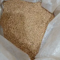 گندم|عمدهفروشی|سنندج, |دیوار