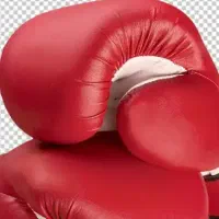 دست کش بوکس