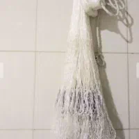 تور ماهیگیری