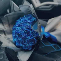 فروش گل ربانی از 1 شاخه تا بی نهایت.به کمترین قیمت