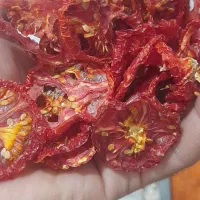 گردو کاغذی|خوردنی و آشامیدنی|رفسنجان, |دیوار