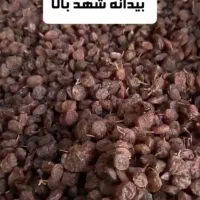 مویز کشمش بی دانه کشمش پلویی و...|خوردنی و آشامیدنی|اصفهان, بهرام‌آباد|دیوار