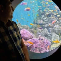 تور زیارتی و سیاحتی