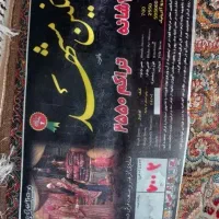 فرش ۶متری نگین مشهد|فرش|گنبد کاووس, |دیوار