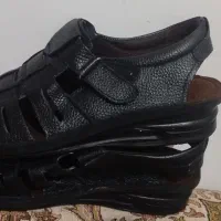 کیف وکفش