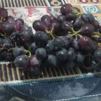 انگور