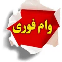 موسسه مالی اعتباری