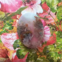 سنگ شجره شجره کوههای سراوان