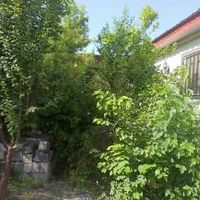 زمین ۲۰۰ متری اطراف لاهیجان ۳ کیلومتری دریا|فروش زمین و ملک کلنگی|رودبنه, |دیوار