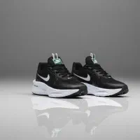 کفش ورزشی و اسپورت(پرداخت درب منزل)|کیف، کفش، کمربند|تهران, امانیه|دیوار