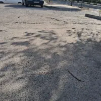 بار برا تهران آریسان