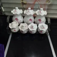 پاسماوری چینی درحدنو