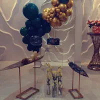 دیجی خانم برای شبی پر از خاطره با ما تماس بگیرید